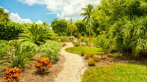 Property grounds - Baywatch House (Captiva)
