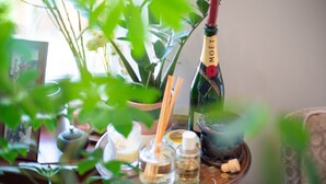 A table with a bottle of Moët champagne, a glass, and various small bottles, likely containing condiments or spirits, set against a backdrop of green foliage and a potted plant. - Supreme Hampstead Home Next to Hampstead Heath by Underthedoormat (London)
