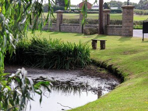 A grassy area with a small pond, a stone wall, and a metal fence. - Lavender Lodge (Saltburn-by-the-Sea)