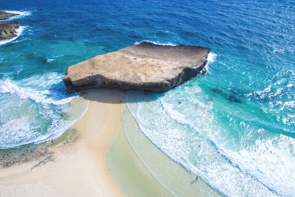 Casa (3 Bedrooms) | Servizio della struttura