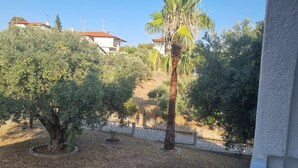 Un jardin avec des arbres et un sentier menant à un bâtiment.
