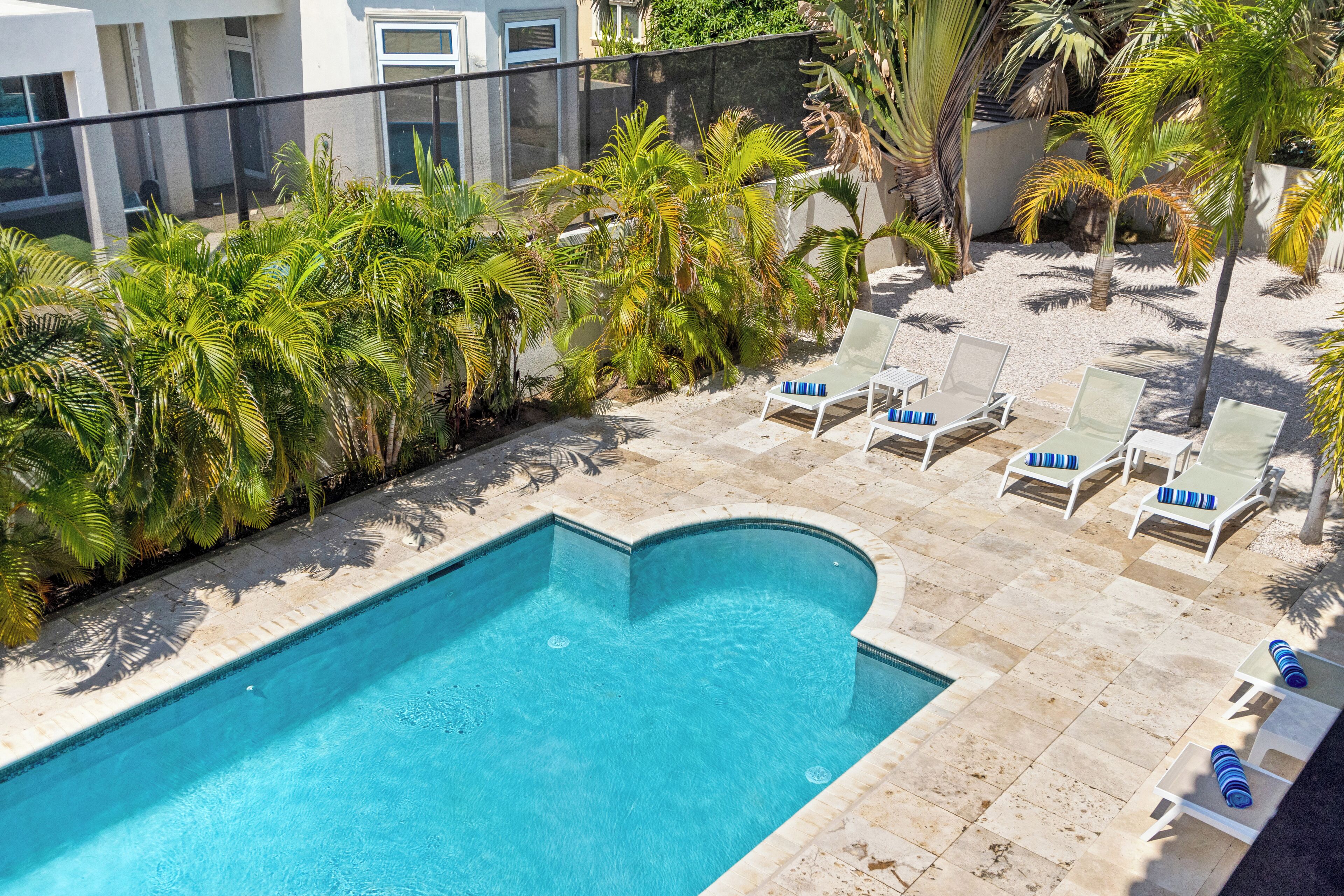 Une piscine à bord incurvé, entourée de chaises longues et de palmiers.