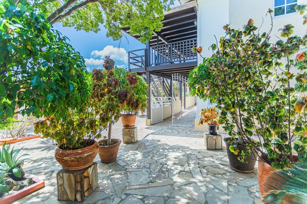 Property grounds - Large Villa With View! Private Pool Free Utilities! (Oranjestad)