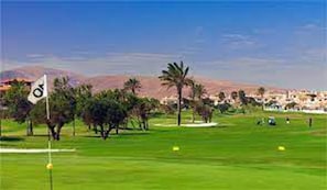 Un campo de golf con una bandera, palmeras y un pueblo distante.