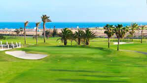 Een golfbaan met uitzicht op de oceaan en palmbomen.