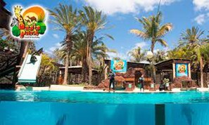 Pool - Comfortable 1-bed Bungalow in Parque Holandés (La Oliva)