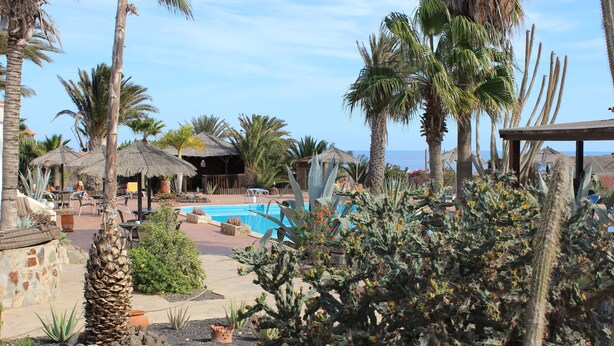 A pool area with palm trees, a thatched-roof hut, and a view of the sea. - Rustic 1-bed Bungalow in Parque Holandés (La Oliva)