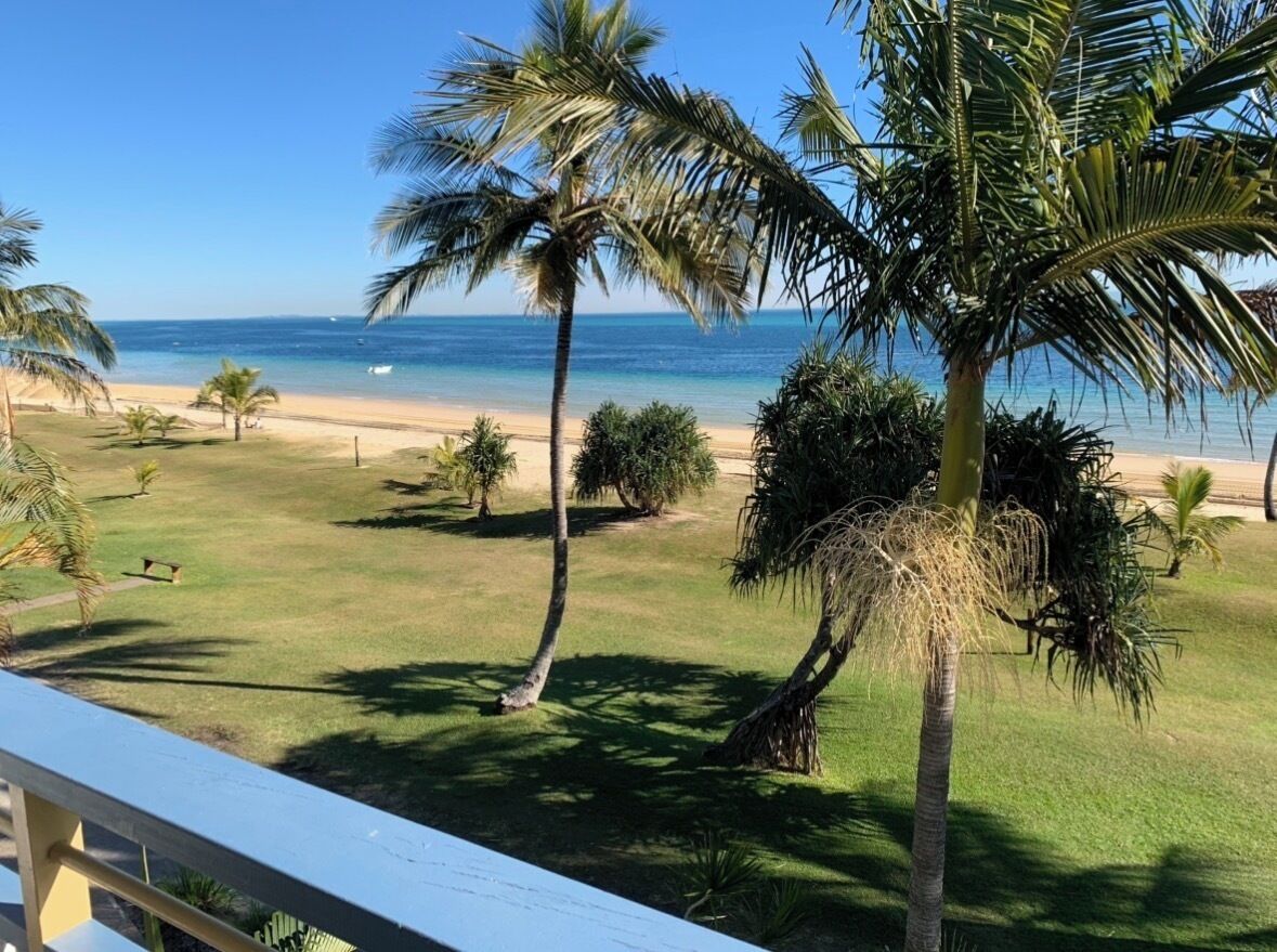 A beach view with palm trees and a clear sky.