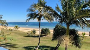 Une vue sur la plage, avec des palmiers et un ciel dégagé.