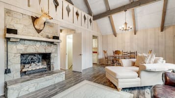 Televisio, takka, DVD-soitin, videokirjasto