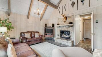 Televisio, takka, DVD-soitin, videokirjasto