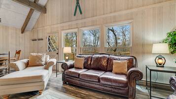 Televisio, takka, DVD-soitin, videokirjasto