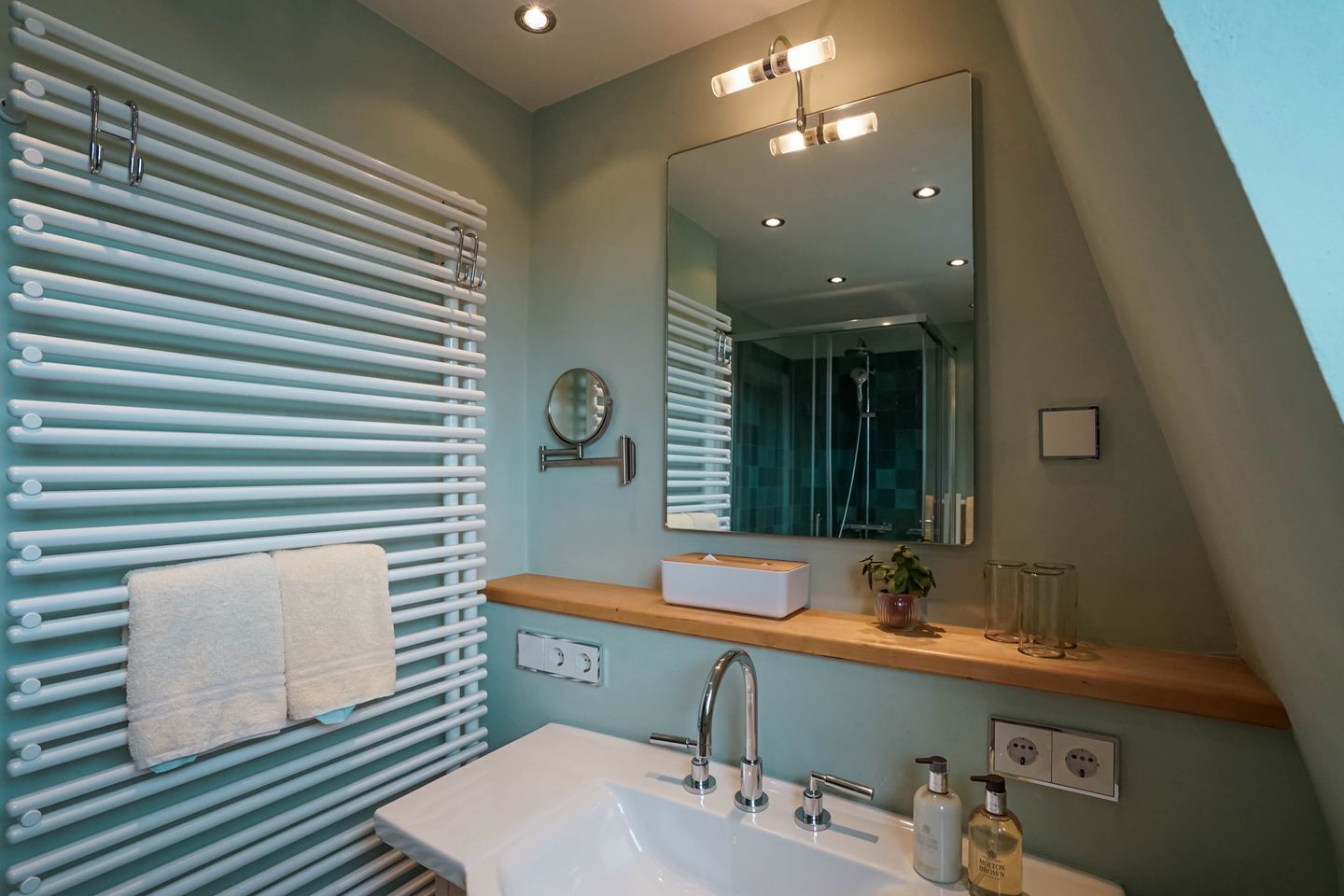 Shower, hair dryer, towels