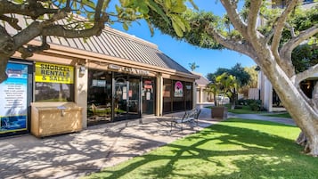 Terrain de l’hébergement