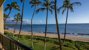A balcony with a view of a beach and palm trees.