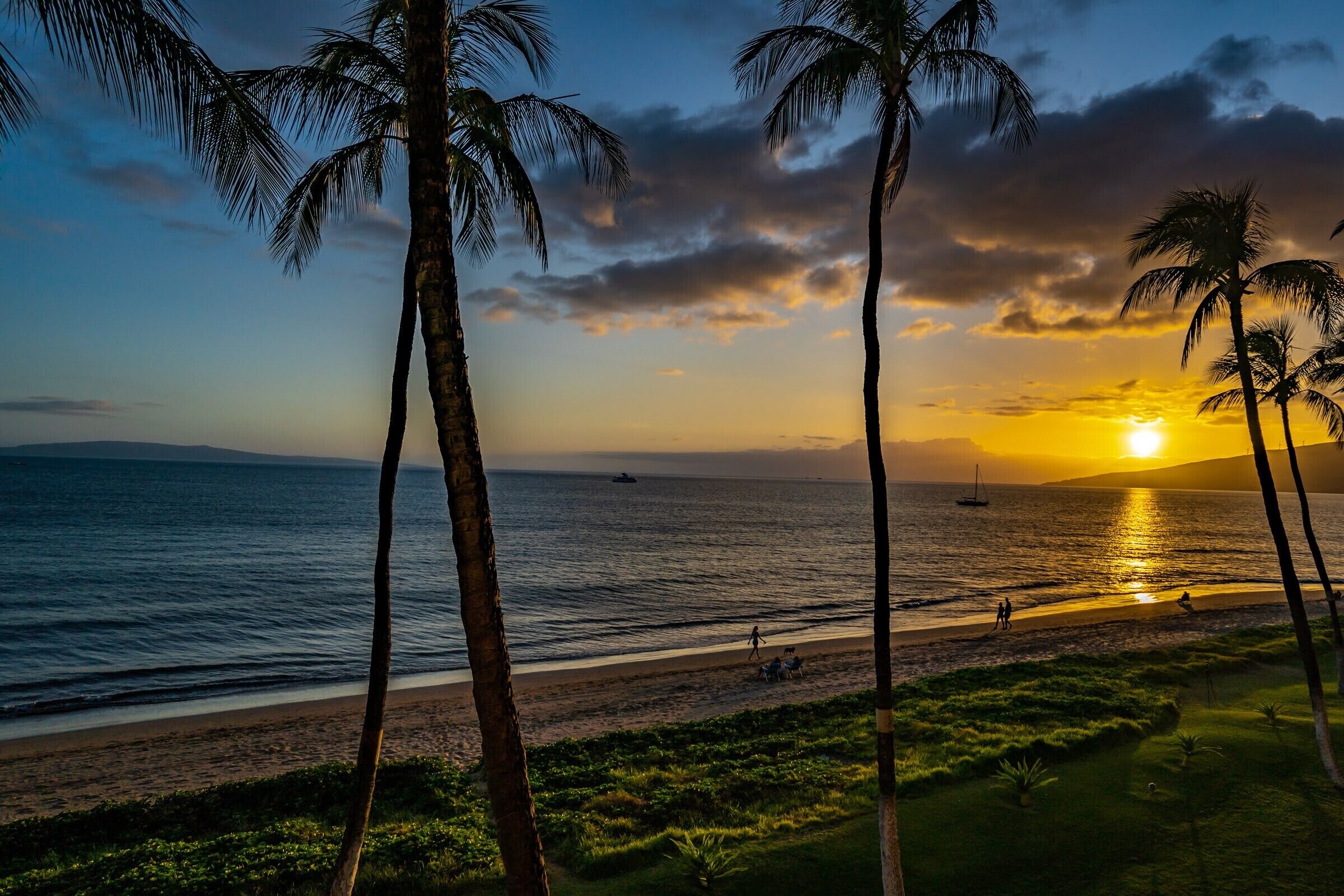 A beach scene with palm trees, a sunset, and the ocean.