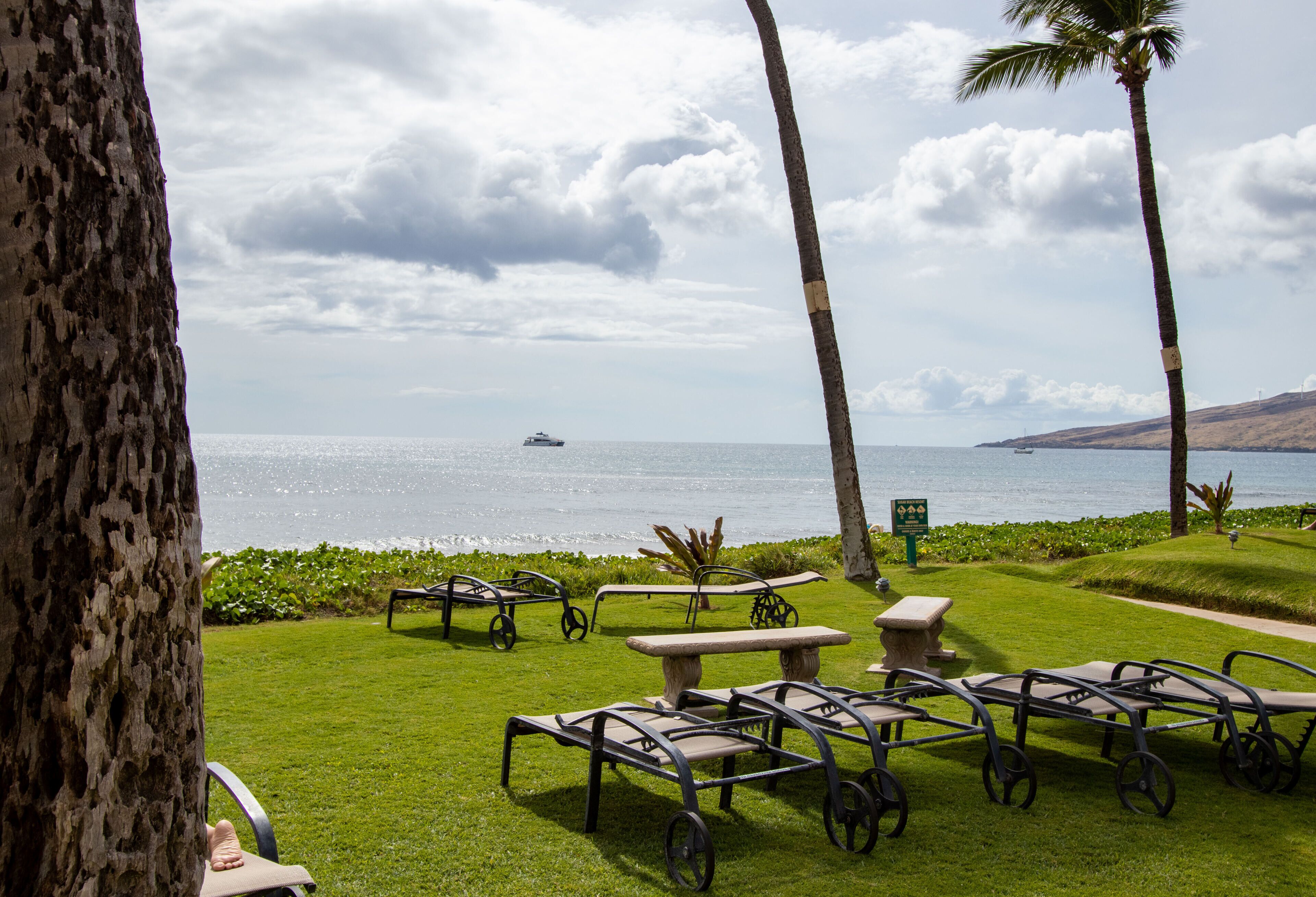 A grassy outdoor area with picnic tables and chairs, palm trees, and a view of the ocean with a boat in the distance.