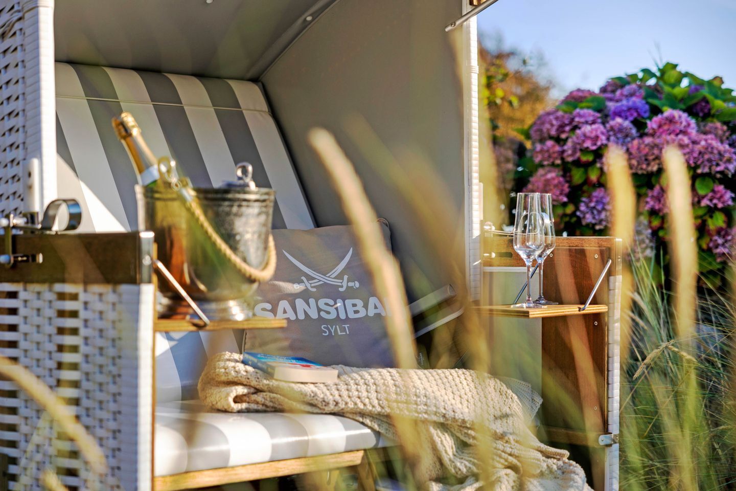 Terrain de l’hébergement 