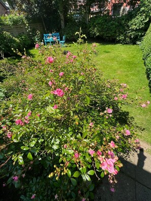 Property grounds - Haus Richter - Moin Moin and welcome to the spacious part of the house (Sylt)