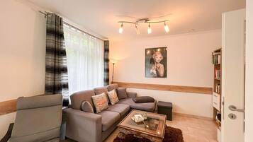 Fernseher, Stereoanlage