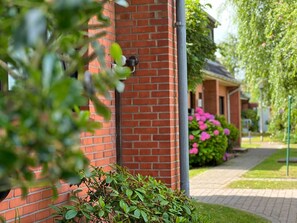 Property grounds - Cockle Tinnum - Sylt is a valuable habitat and beneficial vacation spot, (Sylt-Ost)