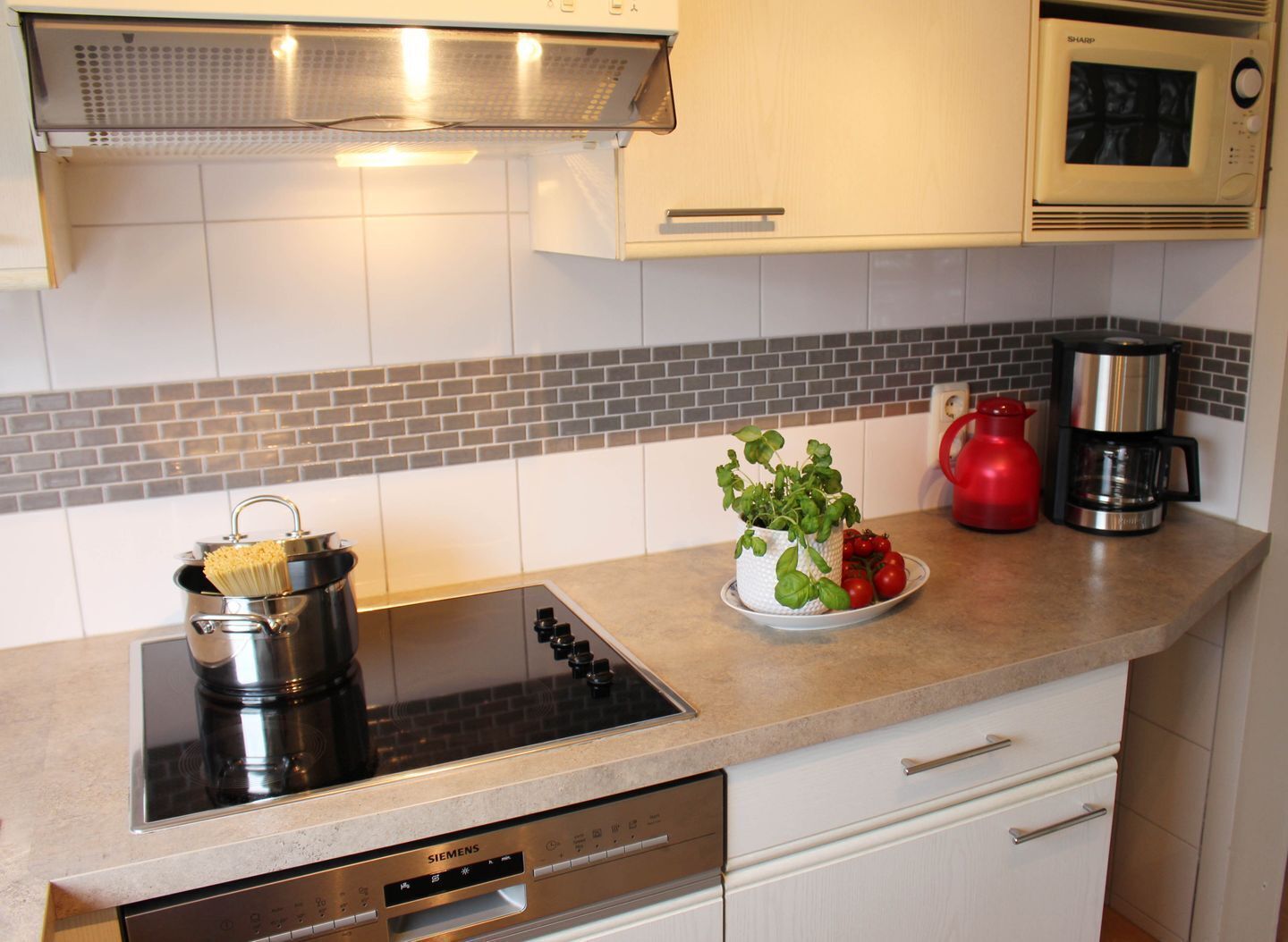 Kjøleskap, mikrobølgeovn, kokeplater og oppvaskmaskin