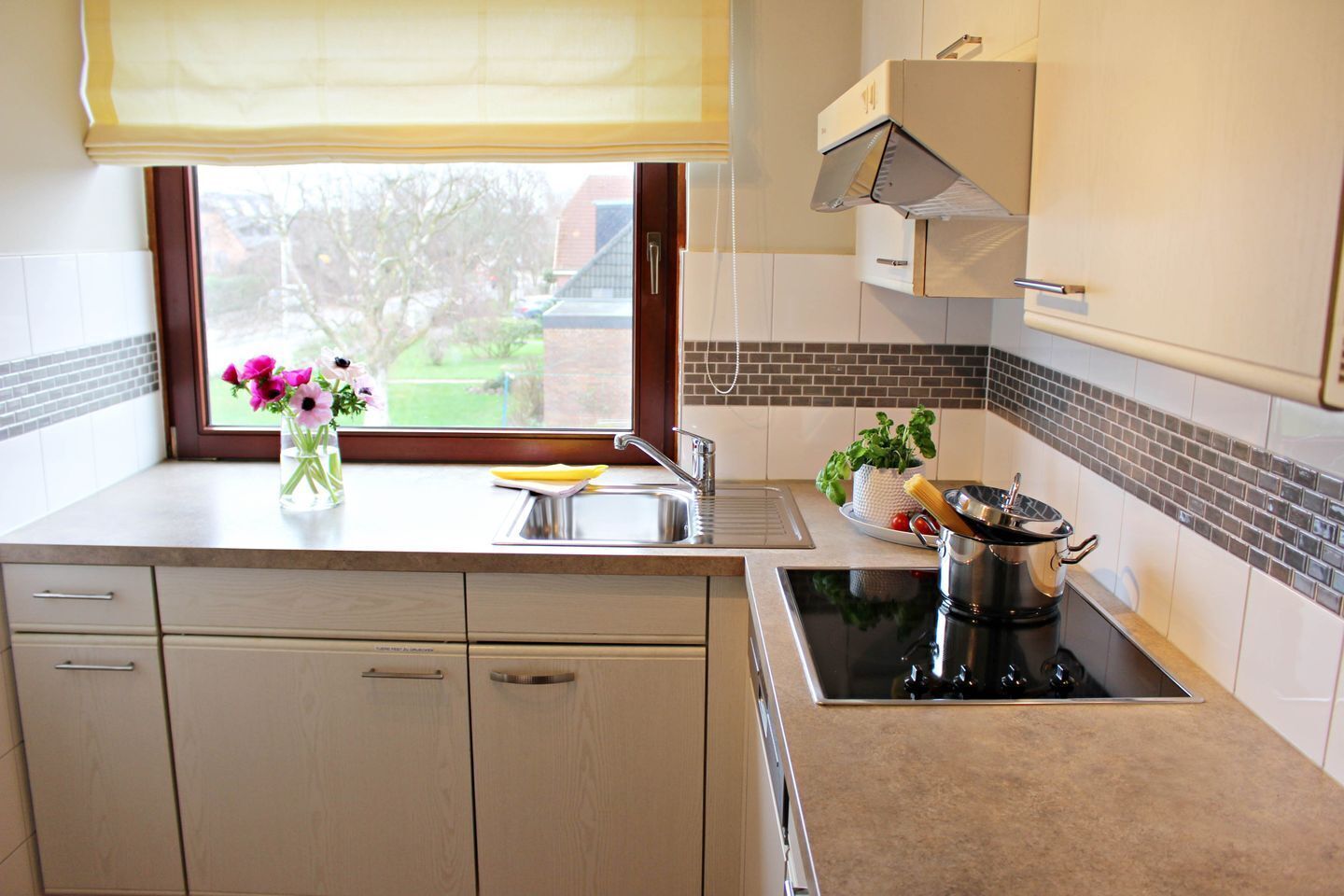 Kühlschrank, Mikrowelle, Herdplatte, Geschirrspüler