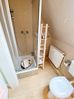 Une petite salle de bain avec une douche, des toilettes et une étagère contenant des articles de toilette.