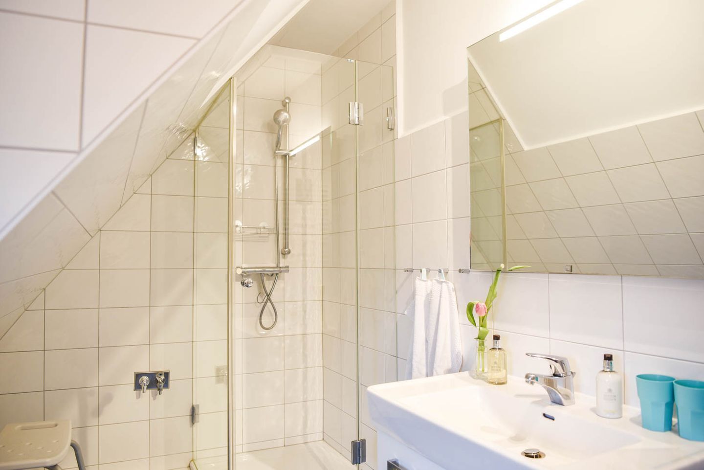 Dusche, Haartrockner, Handtücher