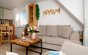 TV, DVD player, stereo - Sylta - Jumping over the dune, in the morning before breakfast already in the (Sylt)