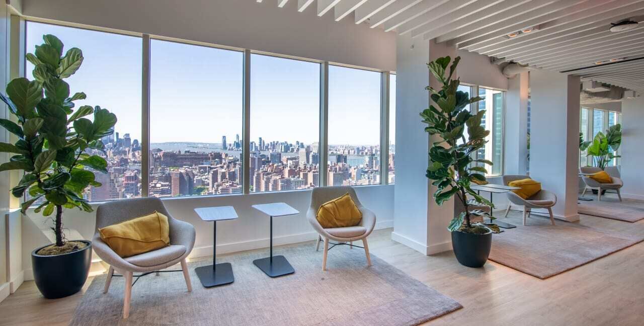 A modern interior with large windows, two potted plants, and a city view.