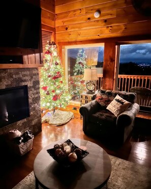 Smart TV, fireplace, video games, DVD player