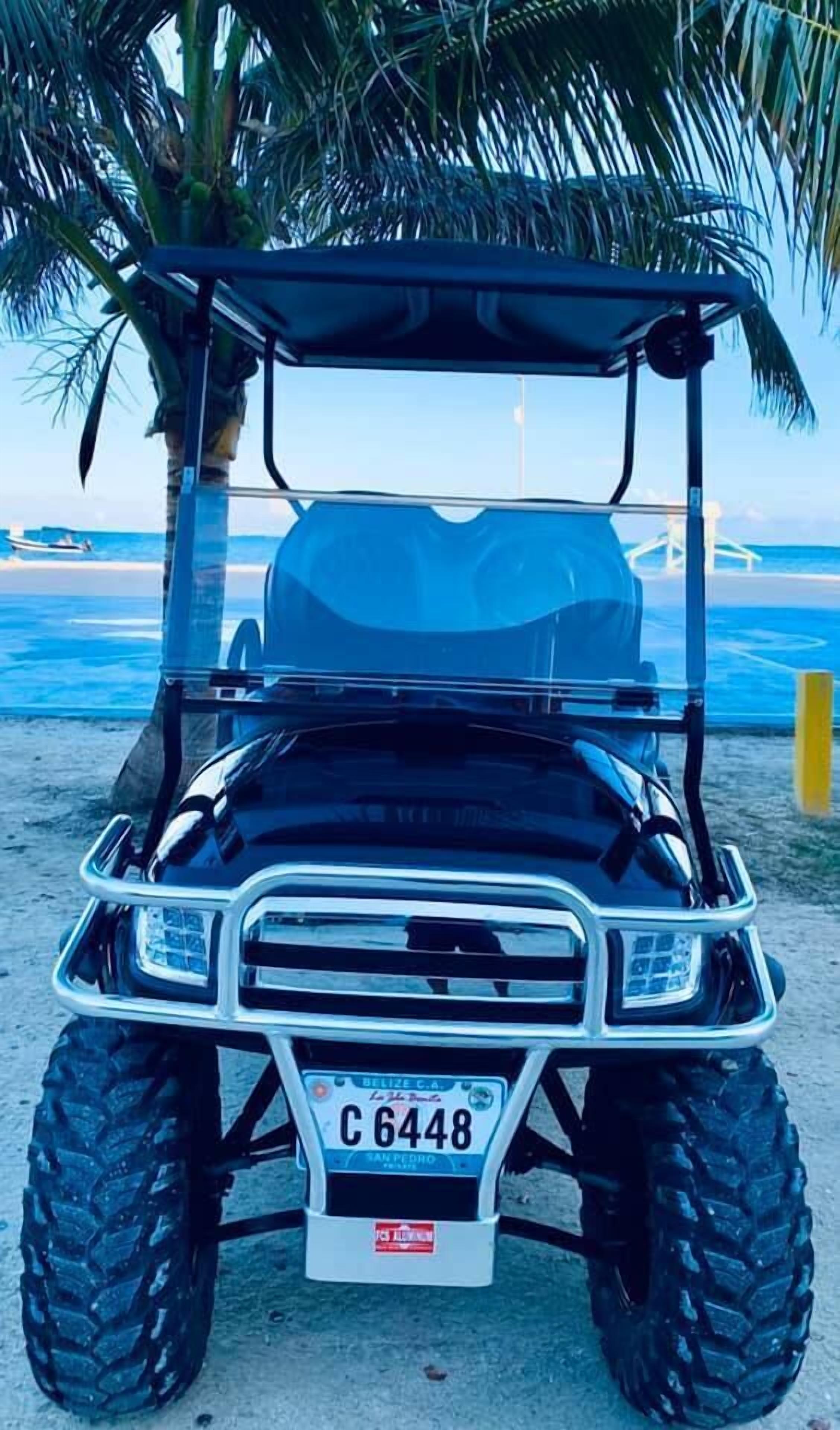 A golf cart with a Belize license plate parked near a beach with palm trees and the ocean in the background.