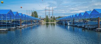 Dog Friendly Luxe Family Home in Dover Bay