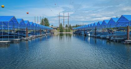 Dog Friendly Luxe Family Home in Dover Bay