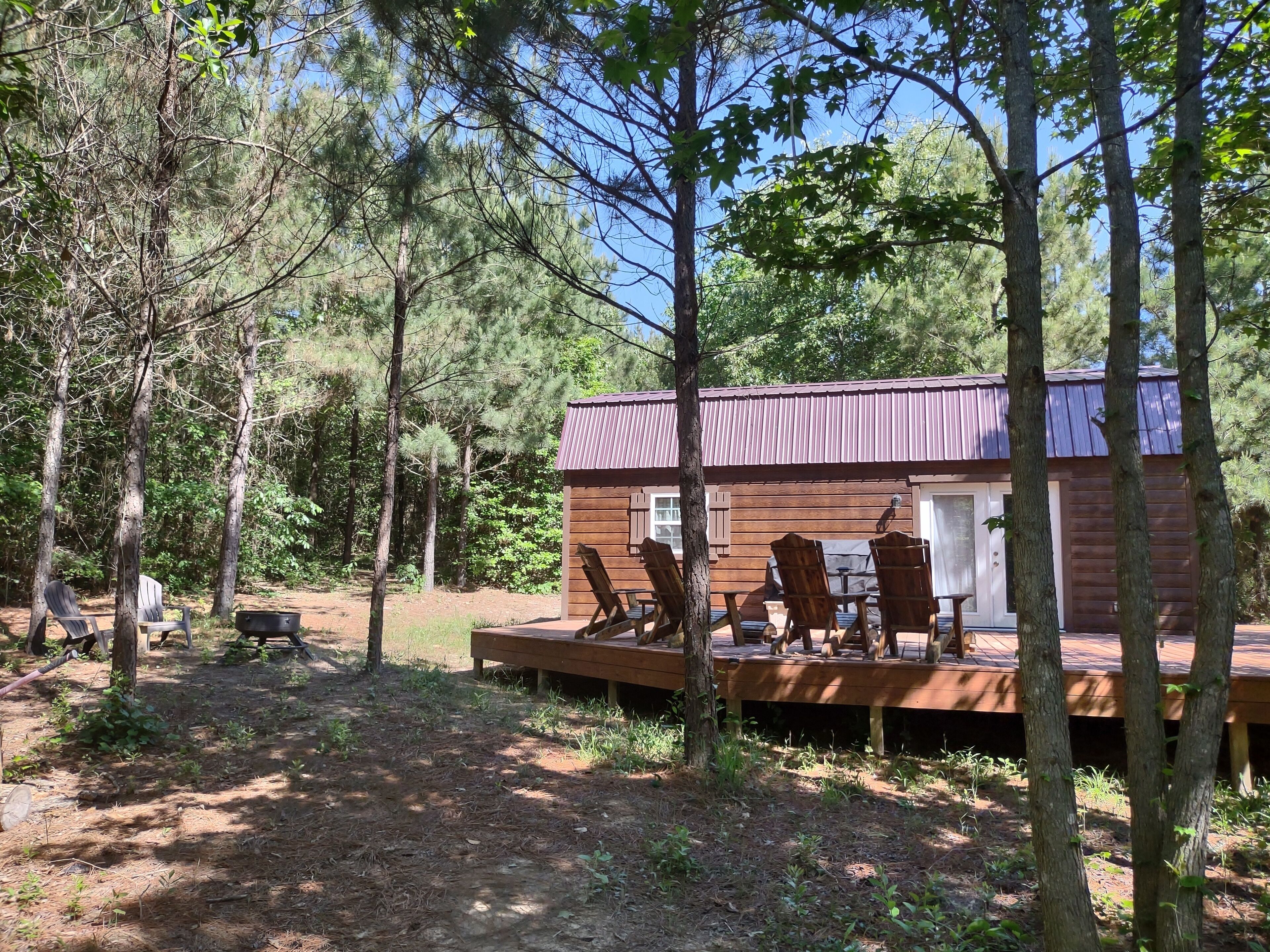 Cozy cabin in the piney woods