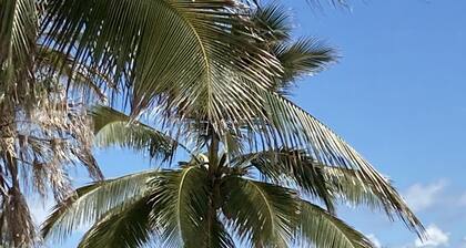 Ocean/Island View, Pool, Free Park, Modern Kitchen