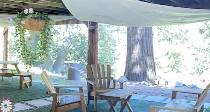 Cozy Mountain Cabin Escape, 7 min to Lake Gregory
