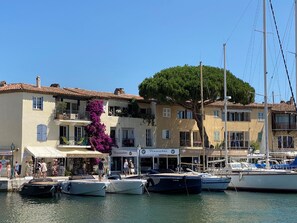 Marina - Stylish villa with big pool, garden and aircon (Le Plan de la Tour)