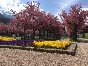Overnatningsstedets område
