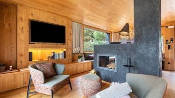 Fernseher, Kamin, Videospiele, DVD-Player