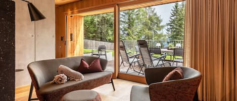 TV, fireplace, video games, DVD player