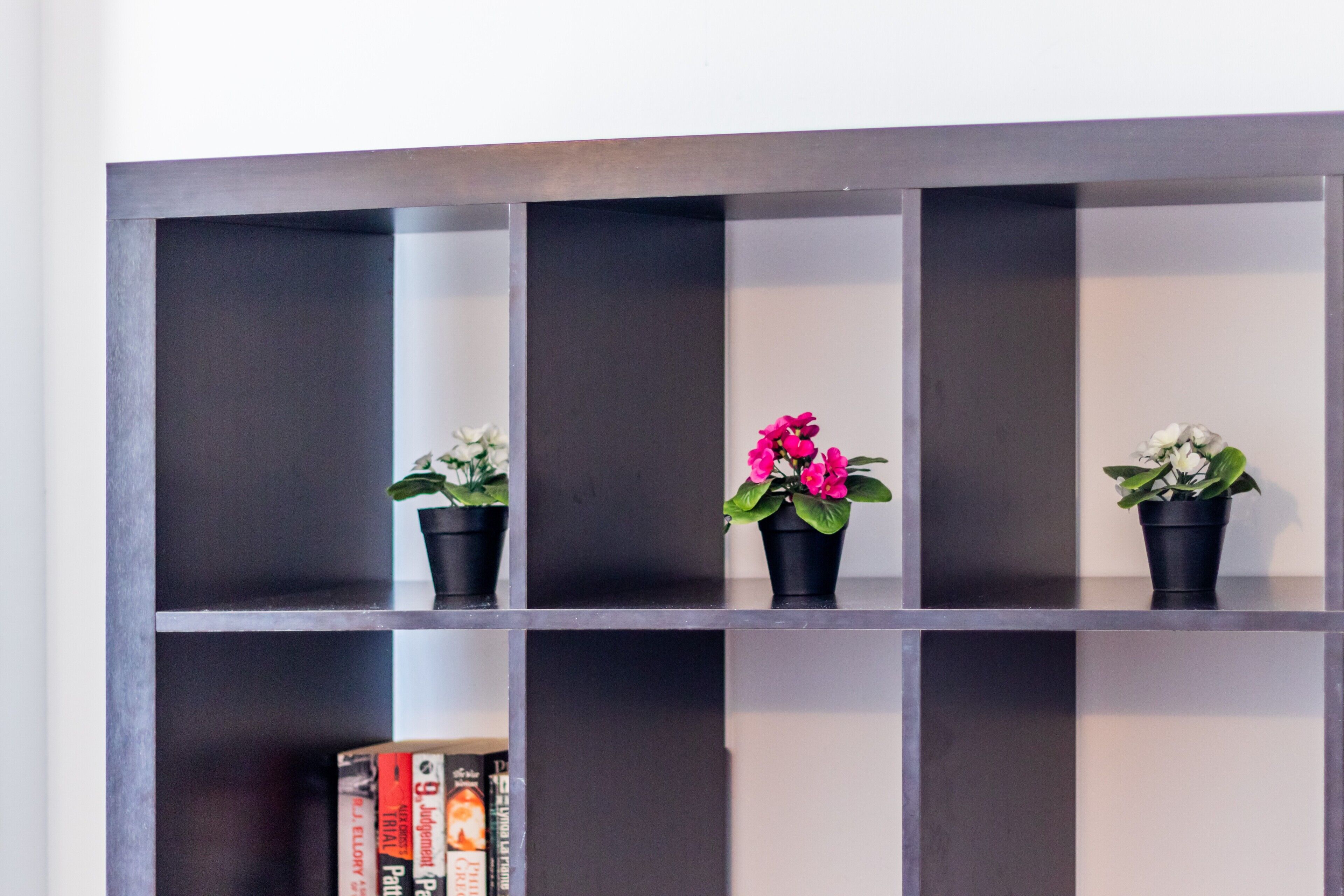 A bookshelf with three potted plants and a row of books.