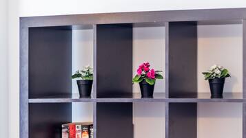 A bookshelf with three potted plants and a row of books.