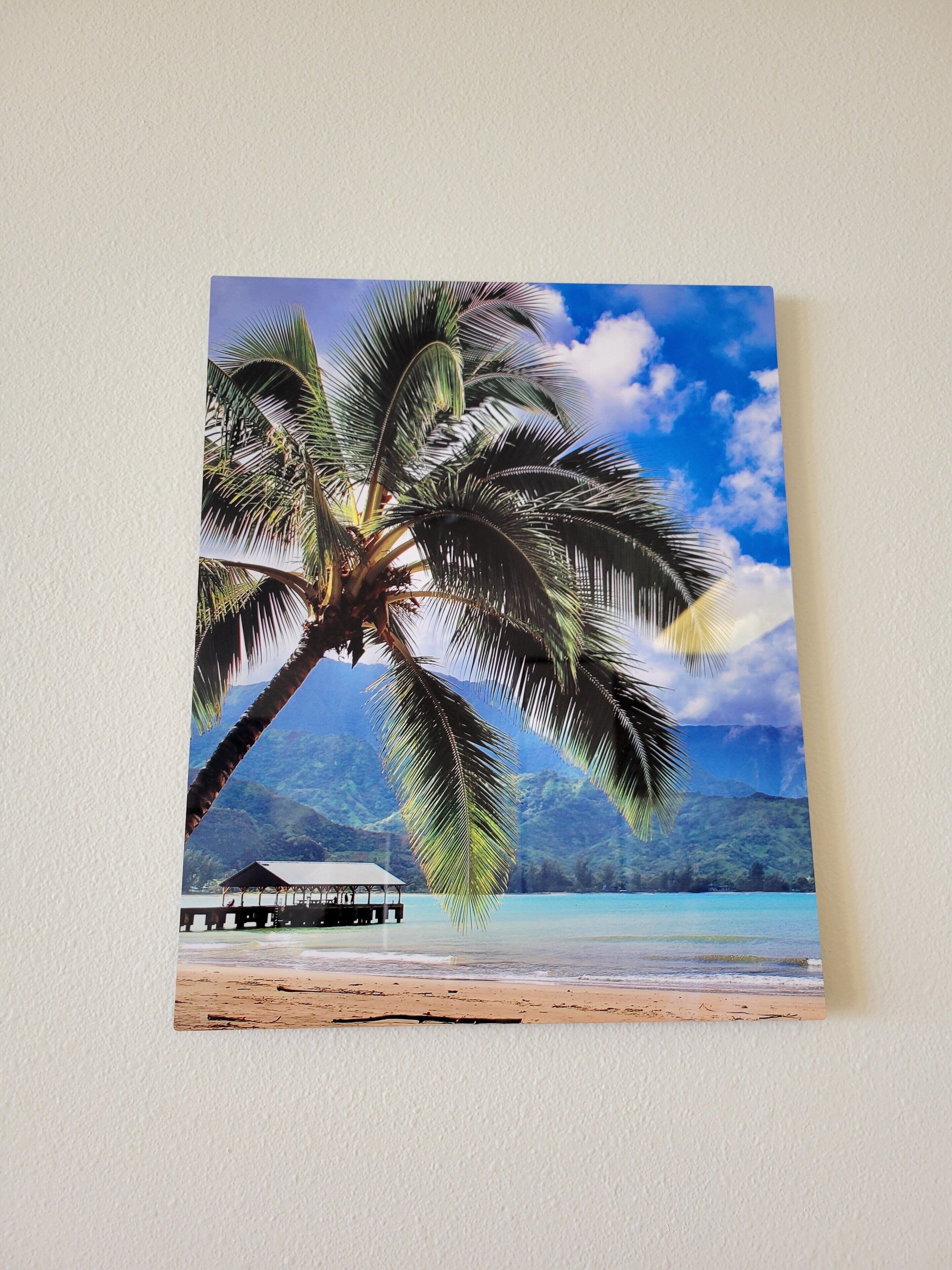 Eine Strandansicht mit einer Palme, blauem Himmel und einem Gebäude am Ufer.