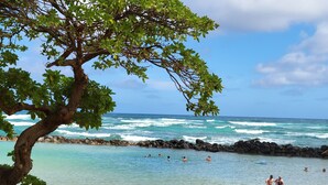 A beach with people swimming and sunbathing, a tree, and beach chairs. - WOW! AMAZING OCEANFRONT CONDO 2nd Floor STUNNING VIEWS, GREAT LOCATION IN KAUAI (Kapaʻa)