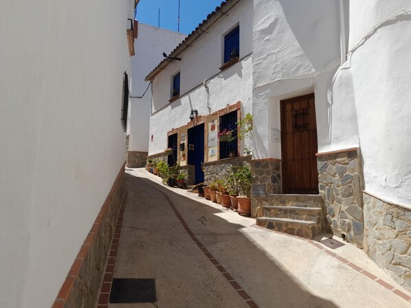 House | Property grounds