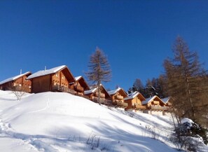 Exterior - 5-room chalet with terrace and parking (La Joue du Loup)