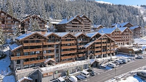 A multi-story wooden lodge with balconies, a parking area, and a view of snow-covered mountains.