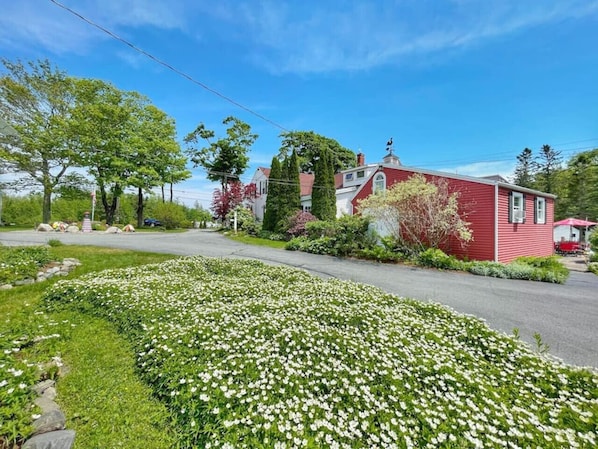 Ett rött hus med en trädgård framför, omgivet av träd och en klar himmel.